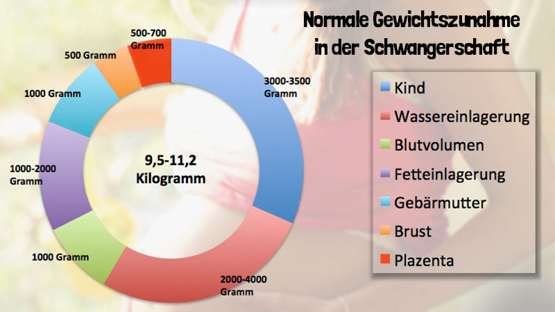 Gewichtszunahme In Der Schwangerschaft